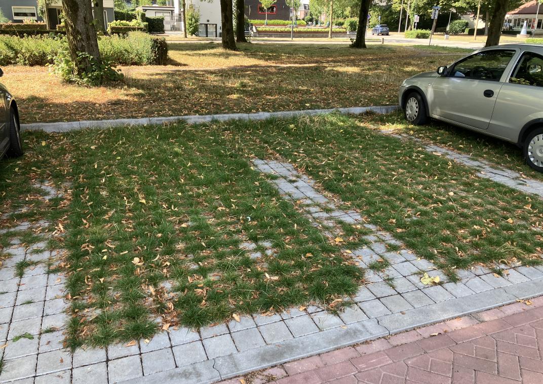 Groene parkeerplaats