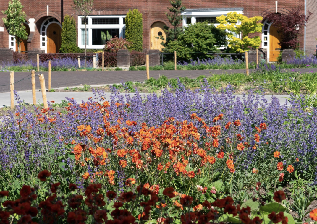 Planten en bloemen in een woonwijk