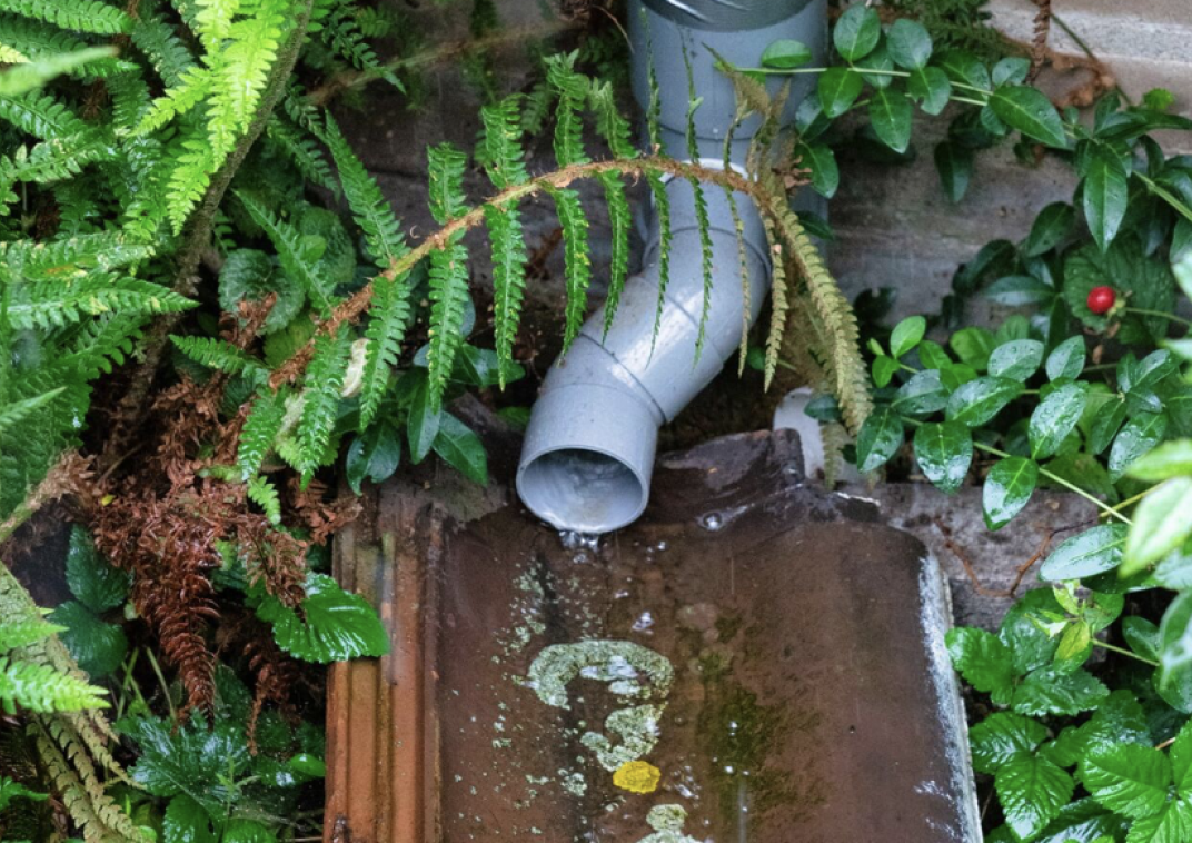 Afgekoppelde regenpijp dat water in de tuin laat lopen.