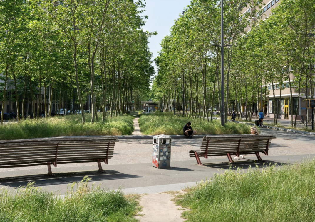 Twee bankjes met daarvoor groene bomen op een bedrijventerrein