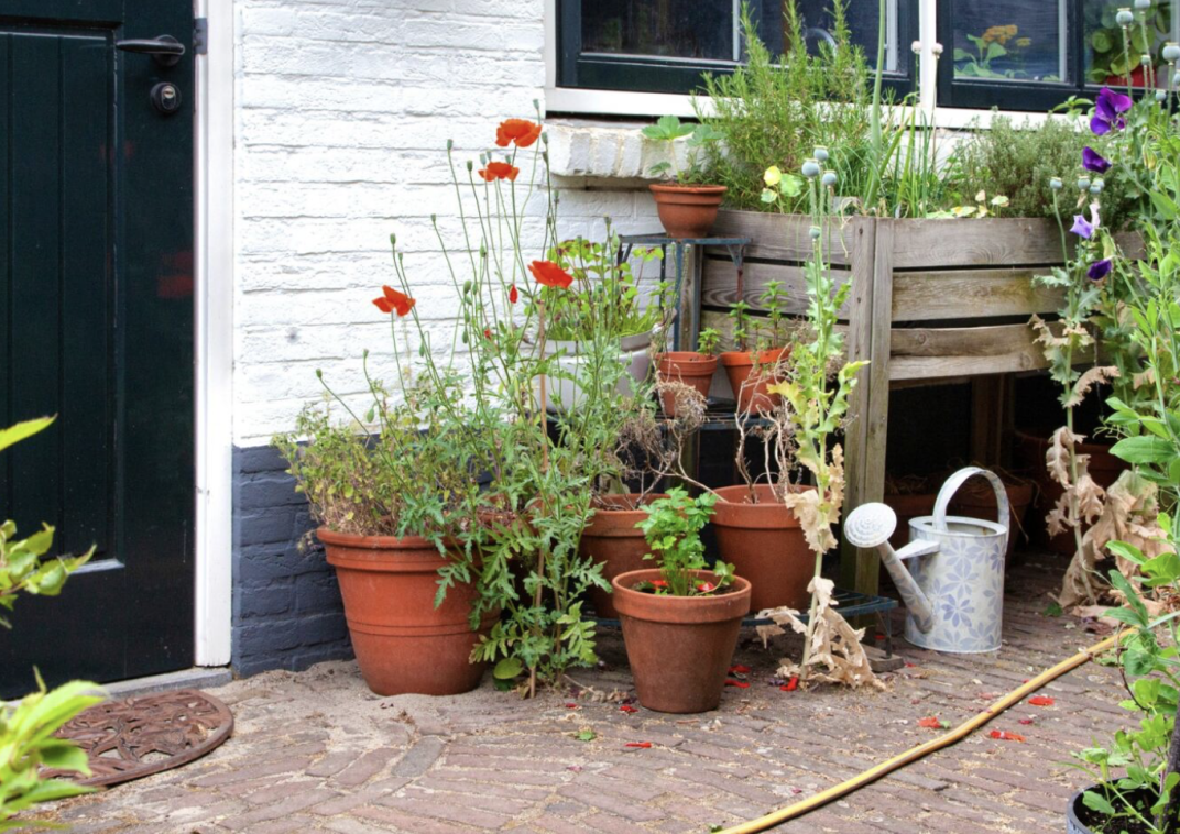 Een stukje tuin met potten en planten