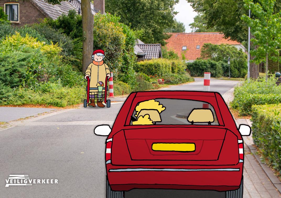 Een rode auto rijdt op een smalle weg. Er loopt een voetganger met rollator op de weg. De rode auto en de voetganger moeten elkaar veilig passeren.