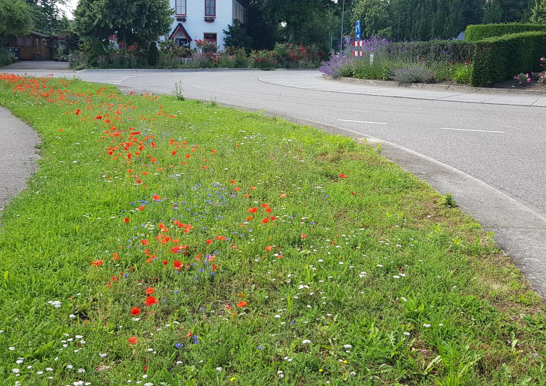 Groene rand tussen twee wegen