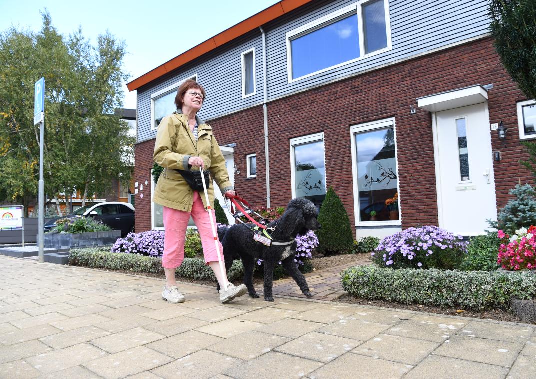 Erna en haar geleidehond Aica wandelen over de stoep.