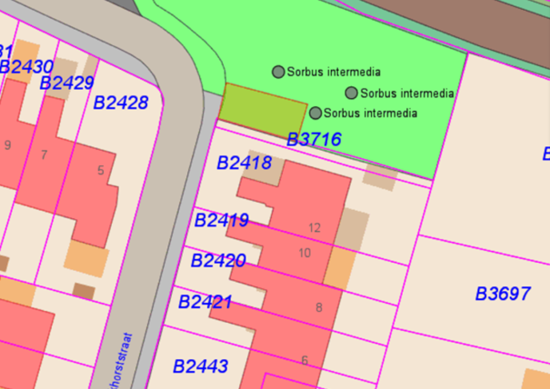 Situatieschets. Luchtfoto met kadastrale grenzen. Voorgenomen verkoop een perceel grond nabij Boeckhorststraat 12 in Terborg
