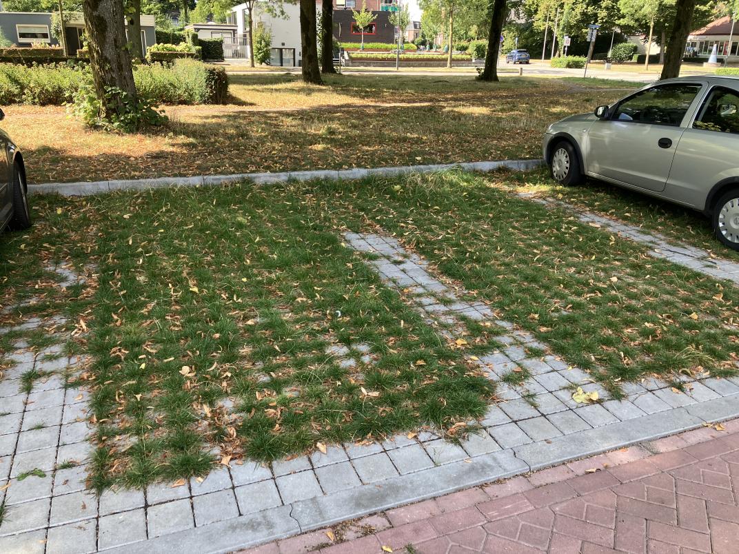 Groene parkeerplaats