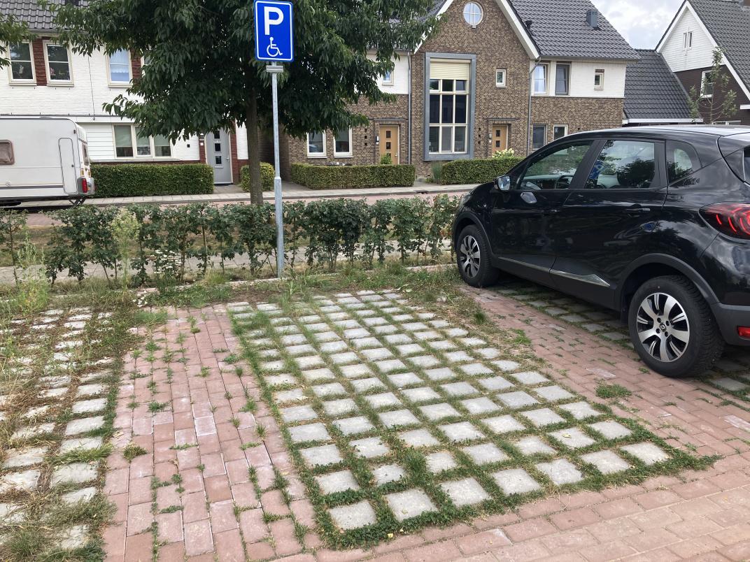 Groene parkeerplaats Reeenstraat Silvolde